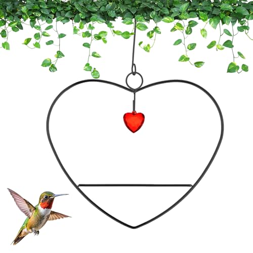 LemonRoad Hummingbird Swing, Tweet Heart Birdie Swing, Copper Hummingbird Perch Metal Frame for Wild Finches & Orioles Bird Outdoors Indoor Trunk Lawn Patio Garden (Black) - color: Black