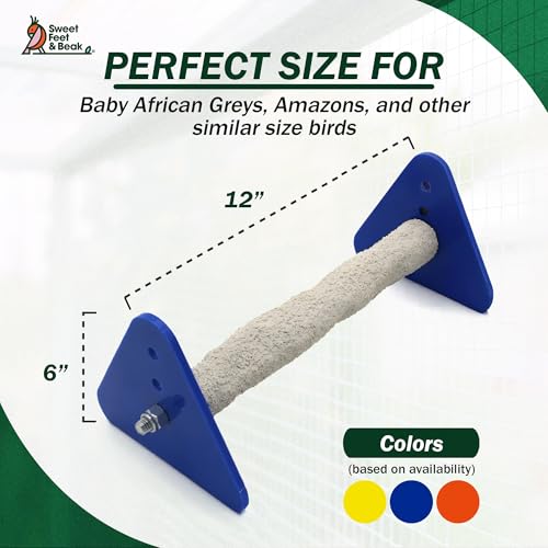 Sweet Feet and Beak Baby Weaning Stand, Large Training Bird Perch | 3 Adjustable Heights, Training & Play Stand, Easy to Clean, Handmade in USA, For Baby Finches, Canaries & Small Budgies - size: Large
