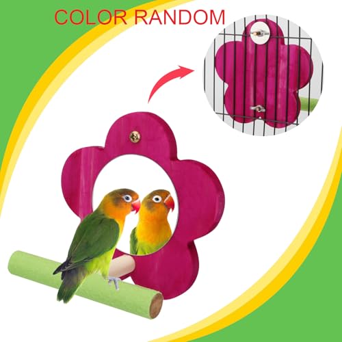 Hypeety Bird Mirror Toy with Perch Cage Standing Perch Wood Toy for Parrots | Natural wooden perch included, clear acylic miror, for parakeet/cockatiel/finch/conure/lovebird, random color, flower shape - color: Flower Shape