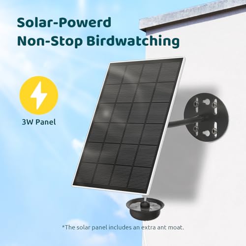 Smart Hummingbird Feeder with Camera, Auto Detect Record Bird Video, Instant Notification, Live View, Solar Powered Hummingbird Feeders for Outdoors Ant Bee Proof, 14oz, Gift for Bird Lovers