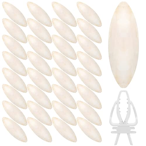 40 Pcs Cuddle Bone Cuttlefish Bone 3.0" to 3.5" Cuttlebone for Birds with 1 Parakeet Cuttlebone Holder Bird Cage Food Clip, Parakeet Toys Chew Toy for Birds Parrots Cockatiels Budgie Snails Reptiles