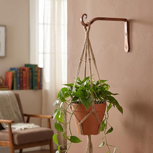 2 Pack 10 Inch Hanging Plant Bracket Wall Hooks Decorative Plant Hangers for Outdoor Hanging Bird Feeders, Wind Chimes, Plant Baskets, Antique Bronze - color: Antique Bronze, size: 10 Inch