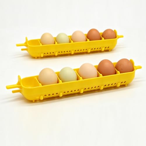 PIAOLGYI Egg Divider Inserts for Maticoopx Incubator,Holder for Vertical Egg Positioning and Stability(10 Pack)