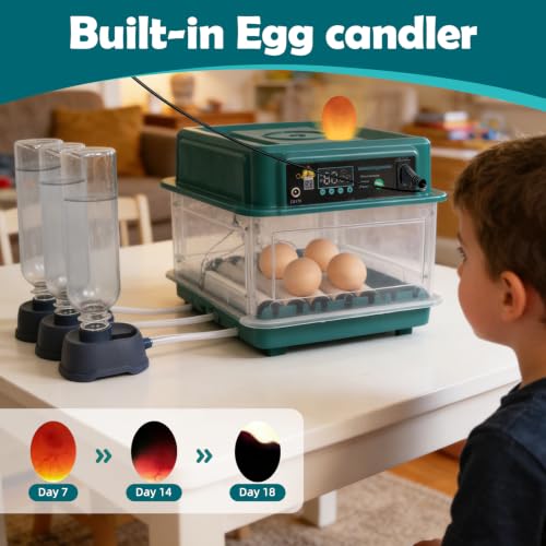 12 Eggs Incubators for Hatching with Auto Turning and Humidity Display | Temperature Monitoring，Adjustable rollers，Suitable for a variety of poultry eggs，Automatic Egg Turner