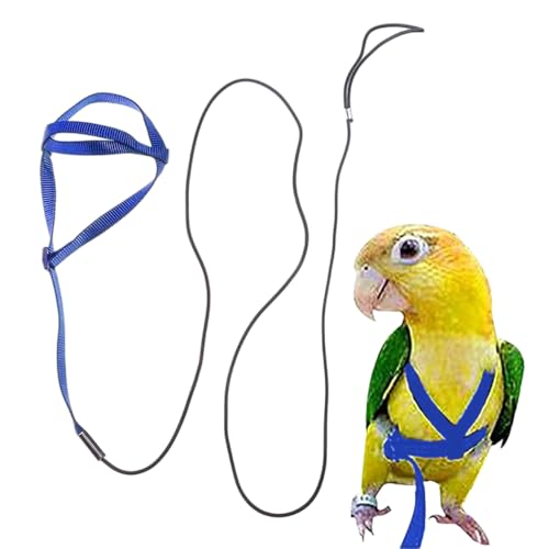 Adjustable Bird Harness and Leash,Anti-Escape Nylon Parrot Harness Blue M | Flying Training Rope Parrot Leash For Small Medium Large Breed Parrots Fits Chest Under 20'' - color: Blue, size: M