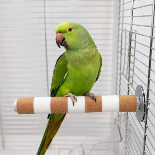 AOTU Natural Sandstone Parrot Perch Bird Perches for Cage – Durable Beak & Claw Trimming Grinding Stone for Birds, 7.9” x 1” – Safe Non-Toxic Long-Lasting Bird Cage Accessory (Orange and White, 7.9”) - color: Orange and White