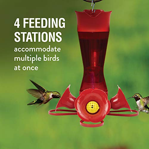 Perky-Pet Red Hummingbird Feeder - Pinch Waist Design for Easy Feeding - Humming Bird Feeder for Outdoors - 403CO - 8 oz Capacity (Pack of 6) - size: No Size (Pack of 6)