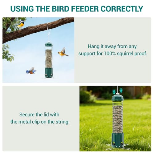 Squirrel Proof Bird Feeder, Metal Bird Feeders for Outdoors Hanging, 3.6LB Large Seeds Capacity for Wild Birds, Finch, Cardinal, Blue Jay, Chickadee, Green - color: Green