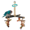Bird Perch 360° Rotating Perch with Natural Chew Toys - Spinning Bird Toys Cage Accessories- Parrot Wooden Stand for Small and Medium Birds (Parakeets, Budgies, Cockatiels, Conures, Finches)
