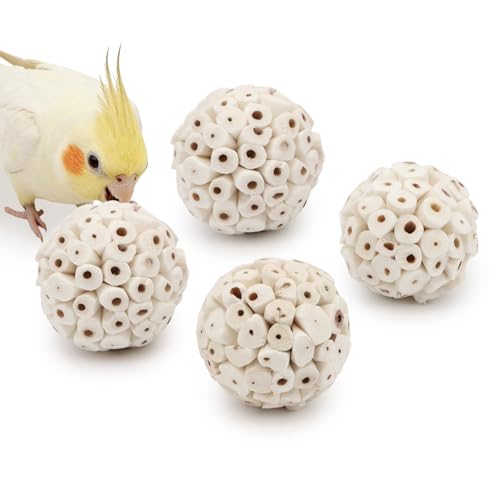 Wontee Bird Toys Sola Balls 2.4" Parrot Foraging Toys Soft Sola Atta Ball Parrot Chew Shred Toy for Cockatiels Conures Parakeets Budgies Senegal (4)