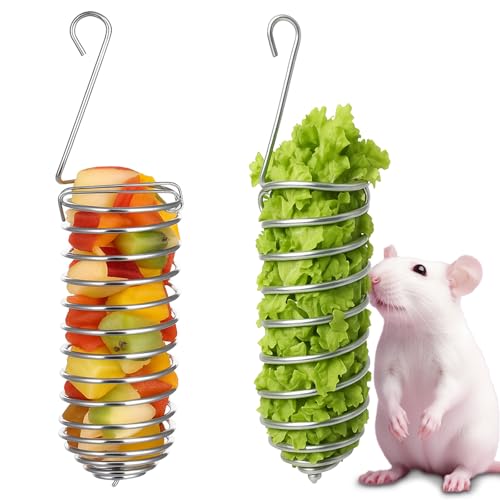 2Pcs Rat Enrichment Toys Bird Food Holder Rat Parrot Foraging Toy | Stainless Steel, Hanging Rodent Toy, Fruit Vegetable Holder, Puzzle Toy, Slow Feeder, Parakeet Foraging