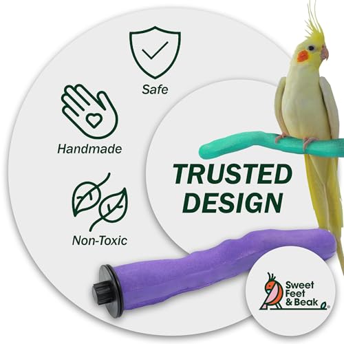 Sweet Feet and Beak Safety Pumice Bird Perch, X-Small Pedicure Perch, Green | Plastic Bird Nail Trimming Perch, Pumice Coated Surface for Healthy Feet and Beak, 6" Lightweight Perch, Available In 5 Sizes - color: Green, size: X-Small 6"