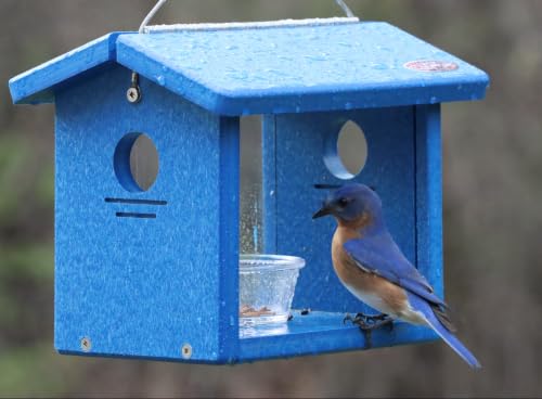 Recycled Bluebird Mealworm Feeder Hang or Mount (Blue, Blue) | Hang or Mount - color: Blue, Blue