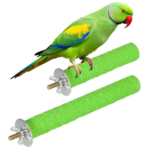 Bird Cage Perch, Colorful Parrot Grinding Claw Sticks, Platform Paw Stand Toy 4/6 Inch, (Wooden, Green, 2Pcs), Intended for Small Medium Birds/Parrots/Finches/Lovebird - color: Green, size: 4/6 Inch