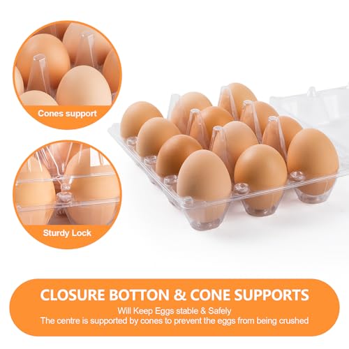 100 Pack Egg Cartons Cheap Bulk,Plastic Egg Carton 3x4 Grids | 12 Count Clear Egg Cartons, Reusable Egg Holder Egg Trays for Family, Chicken Farm, Markets Display - Medium Egg Container - size: 3X4-100PCS