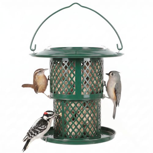 KOL Metal Suet Ball Feeder for Birds – Single-Layer Expandable Design Suet Bird Feeder, Heavy-Duty Wild Bird Feeder with Secure Lid, Large Capacity for Backyard (Jasper) - color: Jasper