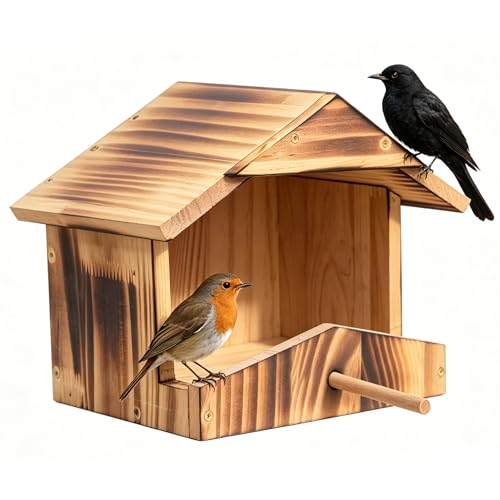 Handcrafted Solid Wood Robin Nesting Box – Outdoor Bird House for Garden, Backyard & Patio, Attracts Robins, Blackbirds & Finches – Easy to Mount & Clean