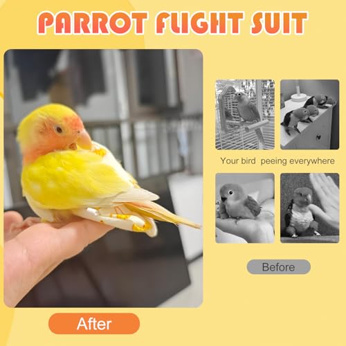 6 Pcs Bird Diapers FAURAPMNG Parrot Nappy Flight Suit Reusable Cockatiel Clothes with Elastic Back Rope Waterproof Inner Layer Washable Diaper Pants for Parakeets, Budgies, Mini Macaws, Quaker Parrots - size: Medium