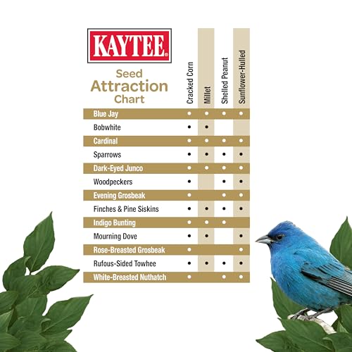 Kaytee Wild Bird No Mess Food Seed Blend for Blue Jays, Woodpeckers, Juncos, Cardinals, Grosbeaks, Sparrows, and Finches, 5 Pound (Pack of 3) - size: 80 Ounce (Pack of 3)