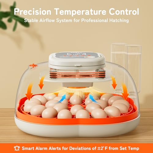 APDOE Egg Incubators for Hatching Eggs, Temperature and Humidity Control, Automatic Egg Turning, Egg Candler, External Water Bottle, Air Vent, for Chicken, Duck & Quail Eggs, 25 Eggs - color: Orange, size: 25 Eggs