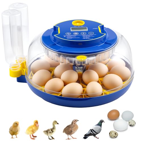 18 Egg Incubator Automatic Egg Turner Temperature & Humidity Control, Incubators for Hatching Eggs, Chicken, Ducks, Goose, Pigeon, Quail, Parrot Incubator Farm,Lab,Science Classroom,Home (Blue-18 Egg)