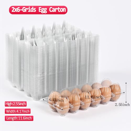 2 * 6 grid large plastic Egg Carton,fit into 2.5 oz of egg (120 pc) | (2*6)12 grid Reusable Eggs Carton，Disposable Large Clear Plastic Egg Carton,egg cartons cheap bulk，for Family, Farm, Markets - size: 2x6 12 egg boxes, 120 pieces