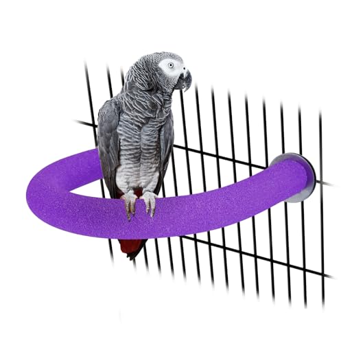 Rypet U-Shaped Large Parrot Perch, Quartz Bird Perch for Cage(Purple L) | Safe Chew & Rest Perch for Large Birds, Durable Non-Toxic Cage Accessory, for Parakeets Cockatiel Conures - color: Purple, size: Large