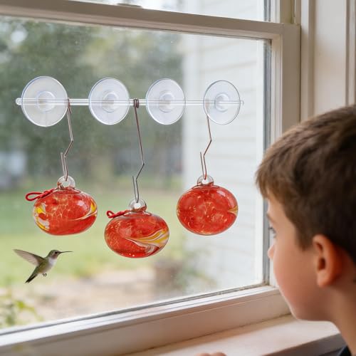 3PCS Window Hummingbird Feeder with Suction Cups(Red) - color: Red