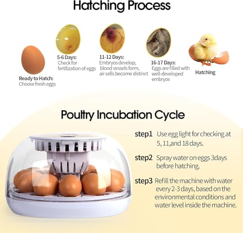 Egg Incubator, 12 Egg Capacity, Automatic Egg Turner, 360° Viewing, Temperature and Humidity Control, for Chicken, Duck, and Quail Eggs