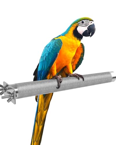 KATUMO Parrot Perch - Stainless Steel African Grey Perch Bird Cage Accessories for Small to Large Parrots (11.8 x 1.2 inch) - size: L: 11.8 x 1.2 inch