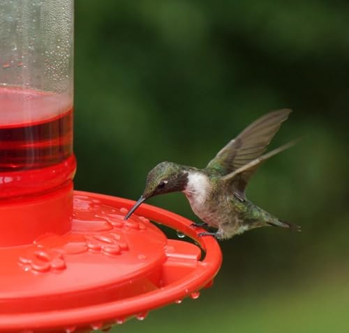 Rocky Mountain Goods Hummingbird Feeder – 16 oz Bright Red Plastic – Wide Mouth for Easy Filling and Cleaning – Includes S-Hook – Multiple Feeding Ports for More Hummingbirds