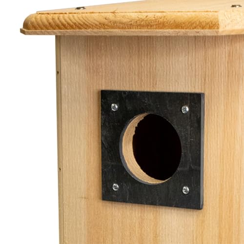 Northern Flicker House