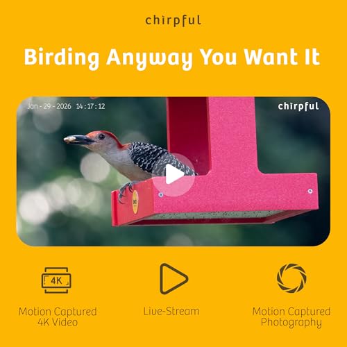 Birds Choice Smart Bird Feeder with Camera | Solar Powered Bird Watching for Outdoors | AI to Identify Bird Species, Capable of Real-Time Streaming | Wireless with Camera, Waterproof Construction | AI Species Recognition Motion-Activated Ultra HD Video an