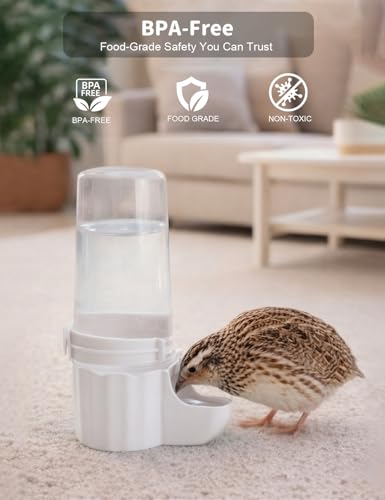 Quail Chick Waterer with Anti-Drowning Shallow Tray, 16.6 fl oz Automatic Gravity Button Quail Waterer, Hanging or Free-Standing Bird Water Dispenser for Wire Mesh Cages and Brooders (White) - color: White