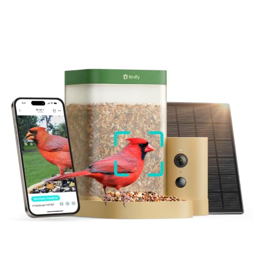 Bird Feeder with Camera for Rookie - Solar Powered Outdoor Bird Feeder with Dual Night Vision, AI Recognition, Slow Motion & IP66 Waterproof, Ideal for BirdLovers (Lifetime Free AI) - style: Lifetime Free AI