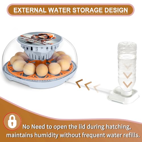 Smart Chicken Incubators for Hatching Eggs with Automatic Turner Small Poultry Duck Quail 12 Egg Incubator Temperature Control Display Hatcher Machine (Mechachick, ℉) - color: Mechachick