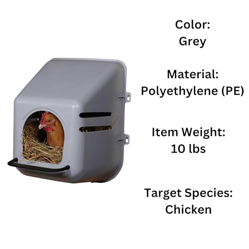 Miller 2 Pack of Large Wall Mount Egg Nesting NEST Boxes with Perch for Chicken COOP Hen House Poultry