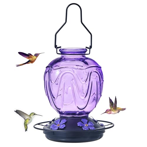 Glass Hummingbird Feeder for Outdoors Hanging,24Ozs Humming Bird Nectar Feeder Perch,5 Flower Feeding Ports, Leak Proof Base and Hook for Outside Garden Backyard Decor, Gifts for Women Mom,Purple - color: Purple