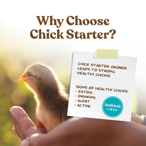 Manna Pro Chick Starter Feed, Non-Medicated Chicken Feed with Vitamins & Minerals, Complete Nutrition for Baby Chicks, 5 lb Bag | Complete Chick Feed Formula, Starter Feed with Vitamins & Minerals, Balanced Nutrition for Growing Baby Chicks
