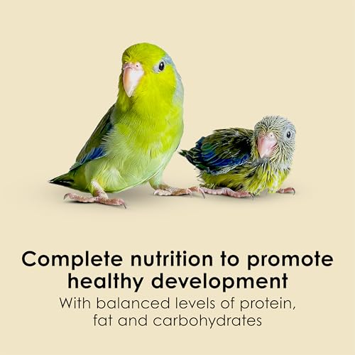 Kaytee Exact Hand Feeding Formula Baby Bird Food for Baby Birds, 5 Pounds - size: 5 Pound (Pack of 1)
