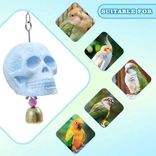 Skull Bird Toy - Natural Calcium Mineral Beak Grinder with Jingle Bell - Small Bird Cage Accessory for Parakeets, Budgies, Cockatiels, Lovebirds, Finches