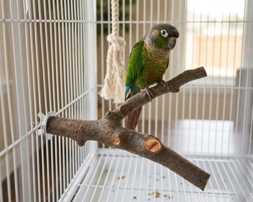6 PCS Bird Perches for Cage | Natural Apple Wood Perch Set with Platforms for Small Birds, Parakeets, Budgies, Cockatiels Climbing, Resting & Foot Exercise