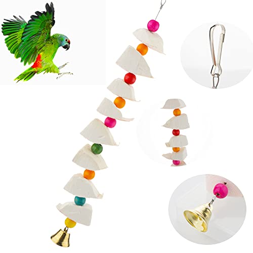 DQITJ Bird Cuttlebone Chew Toy, Natural Calcium Cuddle Bone Sharp Beaks Cage Toy for Parrot Budgie Conure Cockatiel (8 Pcs in a Bunch)