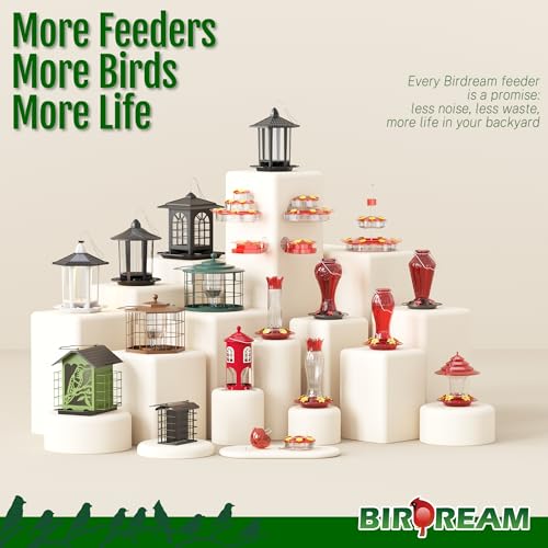 Birdream Window Hummingbird Feeders for Outdoors, with Strong Suction Cups & 7 Feeding Ports, Easy to Use and Maintain, Gift for Bird Lover, Plastic Bird Feeder, 1 Pack, 10oz - Red - size: 1 Pack