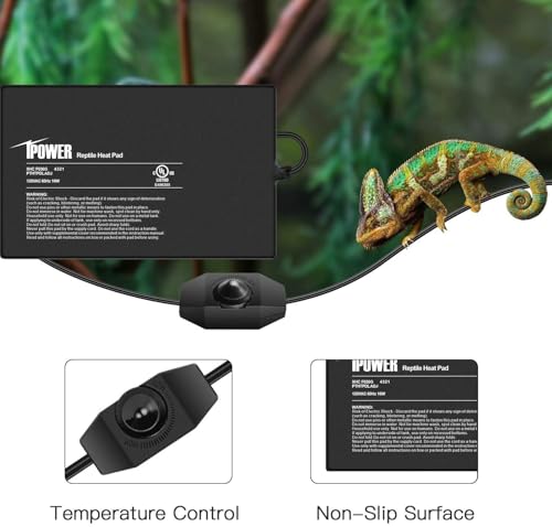 iPower 8 by 12 Inch Reptile Heating Pad with Temperature Adjustable Controller Knob, Under Tank Warmer Terrarium Heat Mat for Reptiles and Amphibians - size: 8 X 12 Inch, style: Heat Pad with Adjust Knob