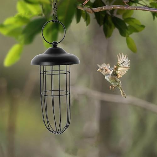 Parakeet Millet Holder Wire Feeder Millet Holder Treat Food for cage Wire Cages for feeders Squirrel Birds Supplies Wild