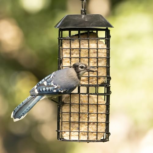 Wild Wings Metal Suet Cage Feeder for Outdoor Décor Wild Bird Feeders, 4 Suet Cakes Capacity, Hanging Suet Feeder, Black