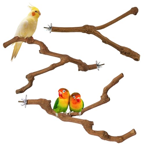 3PCS Bird Perch Natural Grape Stick Chewable Bird Stand Paw Grinding Branches Toy Cage Accessories for Small Budgies Cockatiels Lovebirds