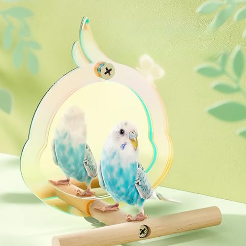 Bird Mirror with Perch Stand Interactive Toys Cages Accessories for Pet Parrot Parakeets Budgies Cockatiels Conures Lovebird Finch Canaries and Other Small Birds