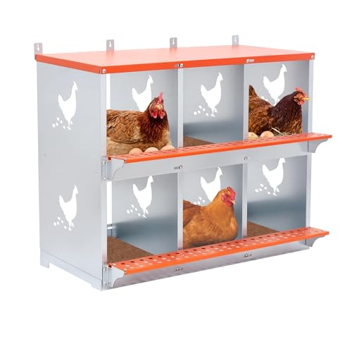 6 Bay Orange Metal Nesting Box, Wall Mount Chicken Nest for Hens & Ducks, Heavy Duty Galvanized Steel with Hen-Shaped Vents & Coconut Fiber Pad, Easy Assembly (Orange/Silver) - size: 31.8” L x 17” W x 25” H
